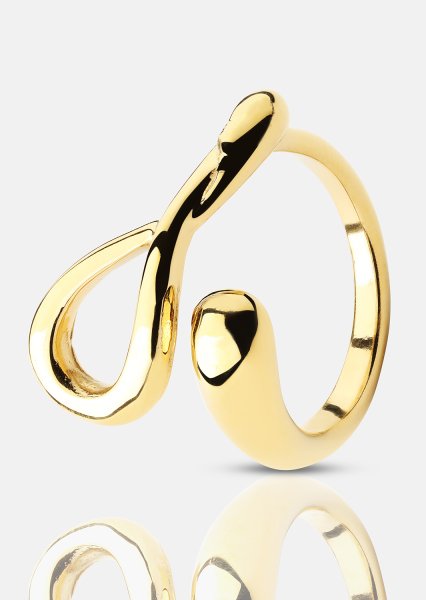 Ring Loop - 18k Gold Plated